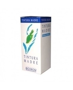 Boiron Olea Europaea 60ml Tintura Madre