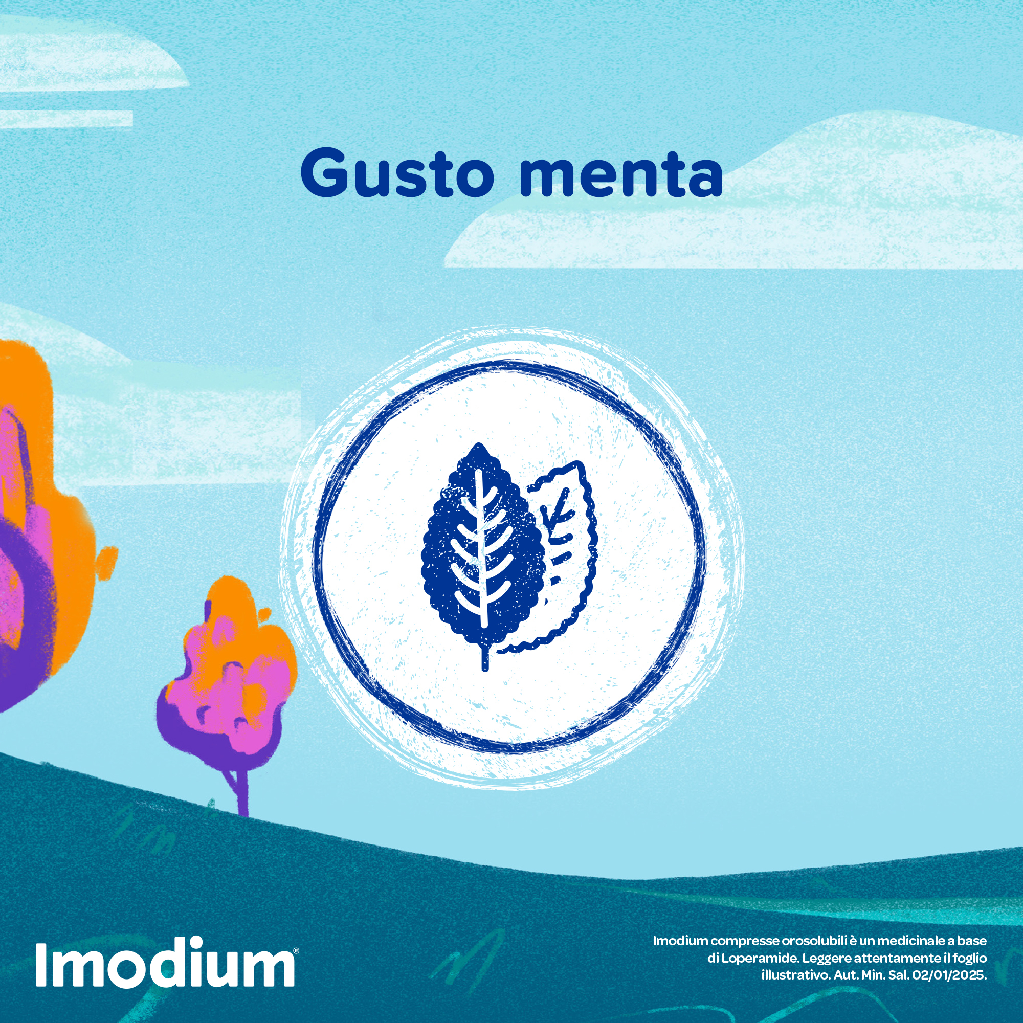Imodium Diarrea Acuta 12 Compresse Orosolubili