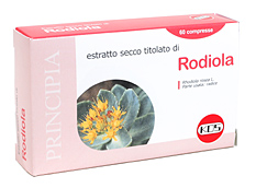 RODIOLA ESTR SEC 60CPR 22,2G