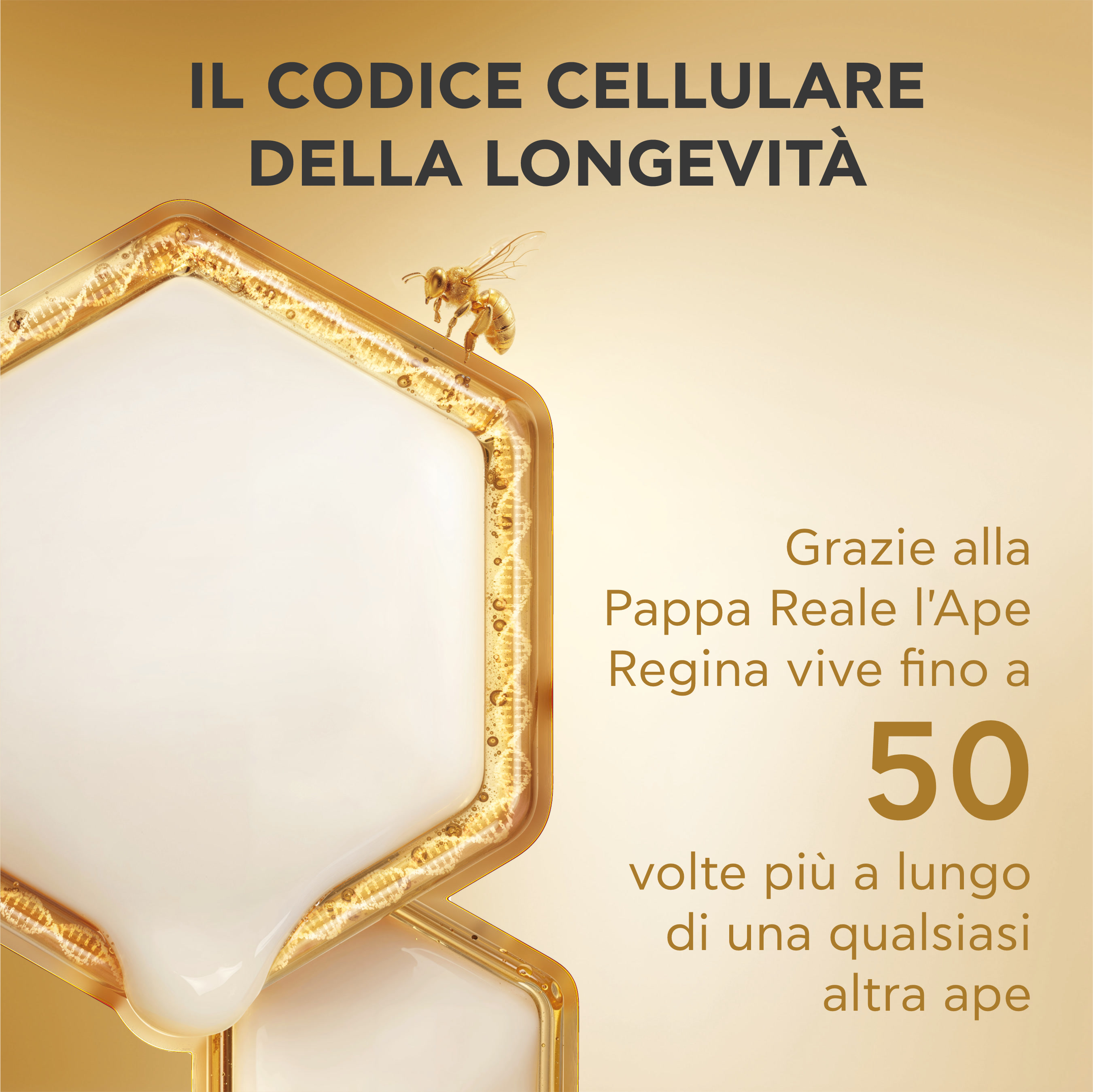 Apivita Queen Bee Longevity - Siero Viso Antiage 12 Indicatori Di Giovinezza 30 ml