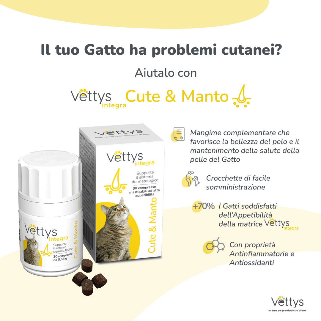 VETTYS Integra Cute&MantoGatto 