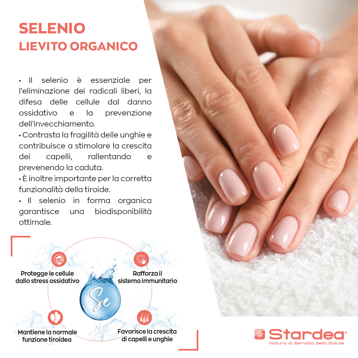 STARDEA SELENIO LIEVITO ORGANICO 55 µg Compresse - INTEGRATORE ALIMENTARE  CAPELLI E UNGHIE
