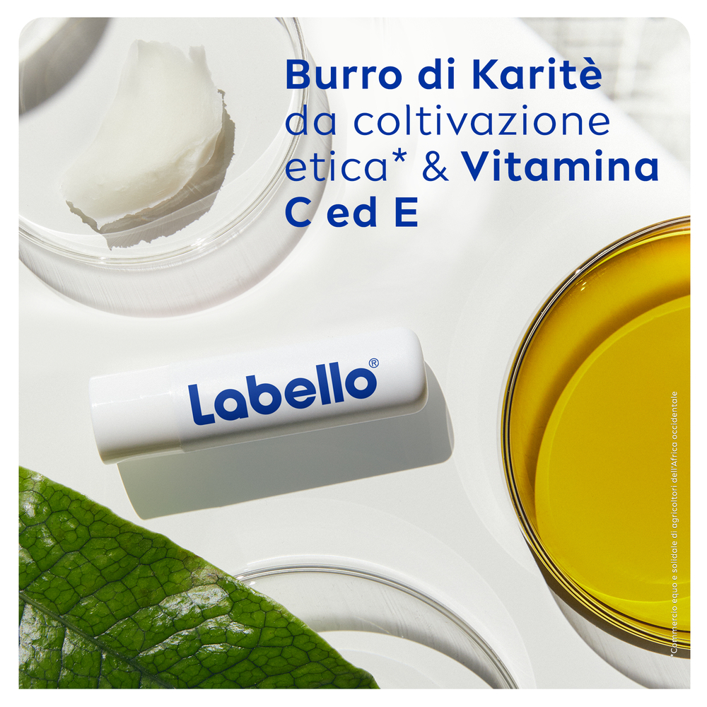 Labello Med Repair 4.8 g, Burrocacao labbra idratante e riparatore con vitamina E e SPF 15
