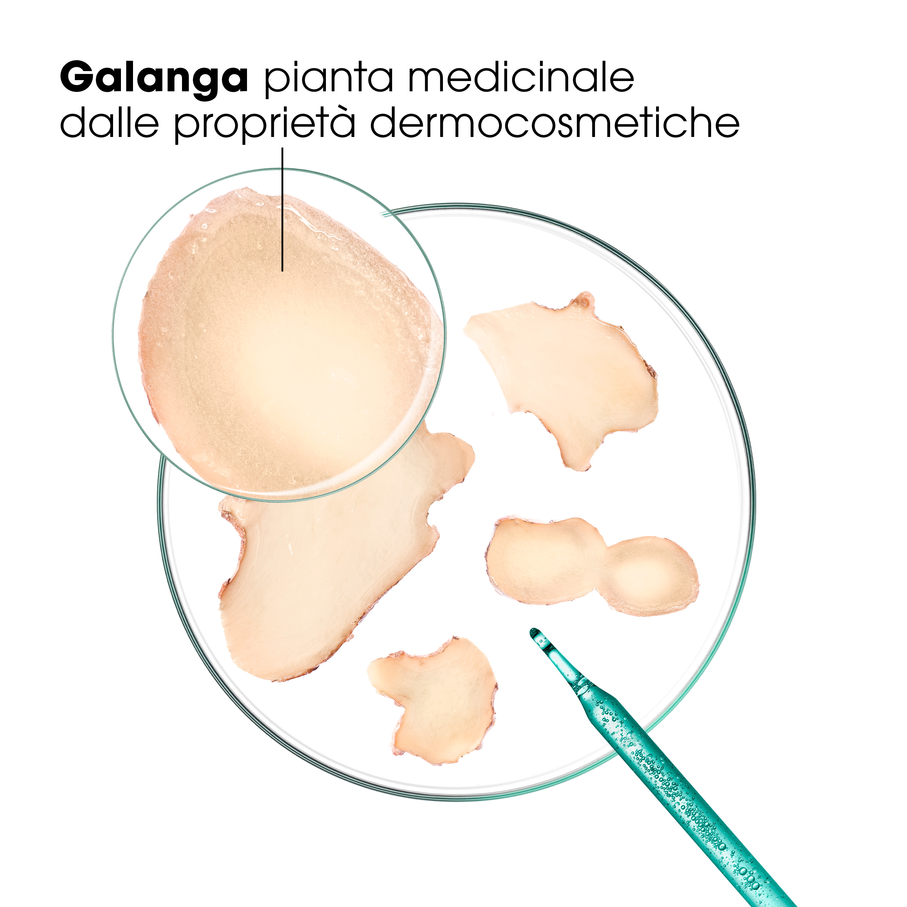 Klorane Anti-Forfora Shampoo trattante e riequilibrante alla Galanga, forfora secca e grassa, 400 ml