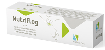 Nutriflog Lipo Antinf/prurig