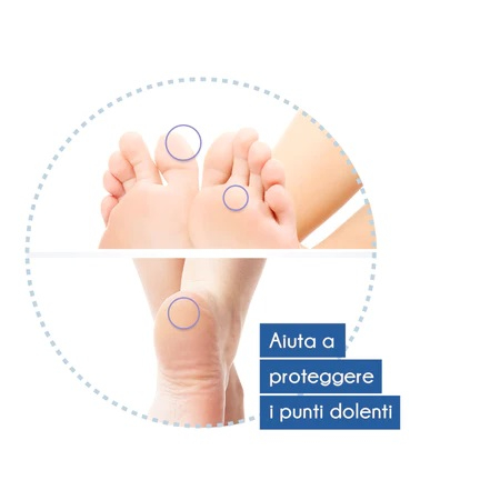 SCHOLL CER VESCICHE MIS MISTE