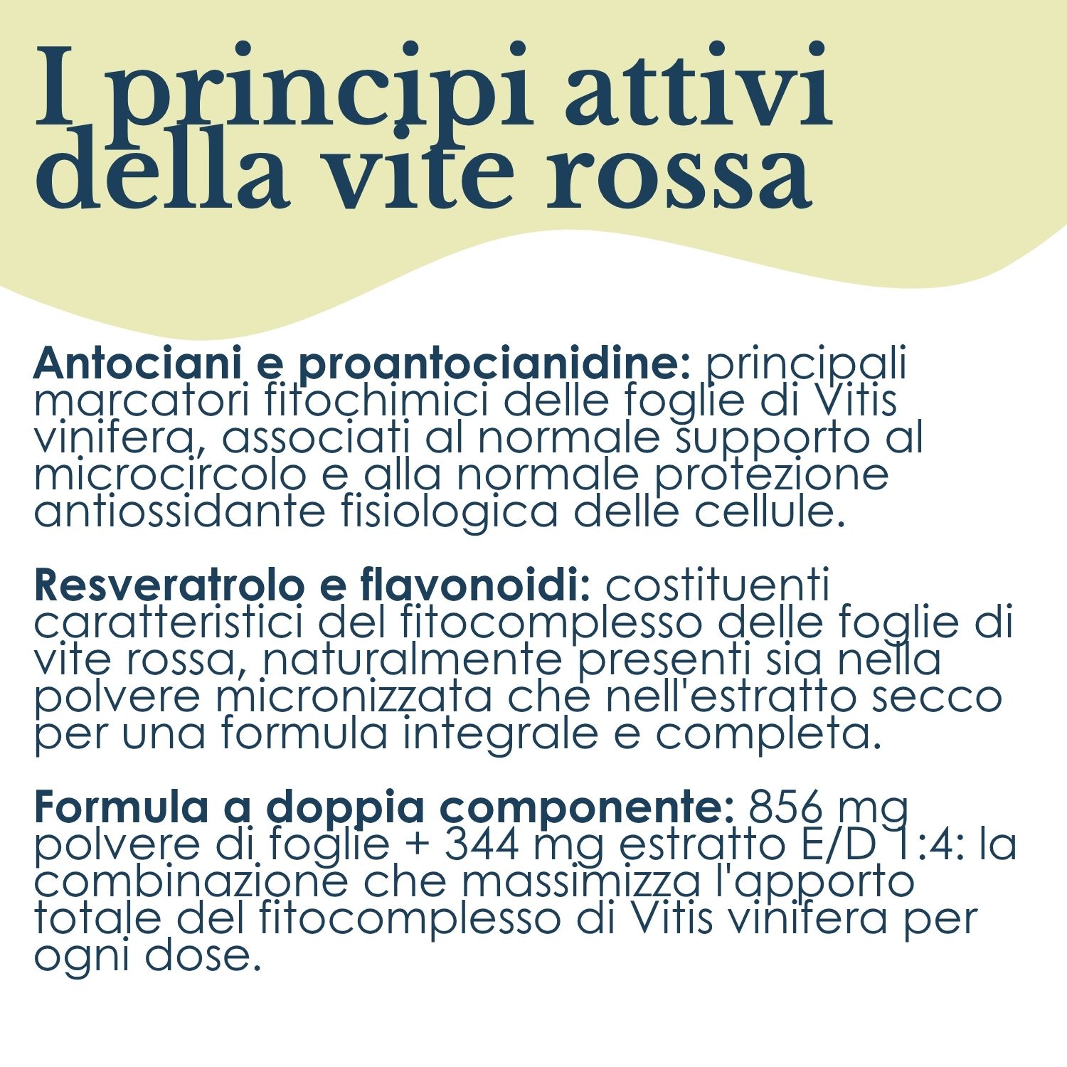 VITE ROSSA 100CPS 380MG