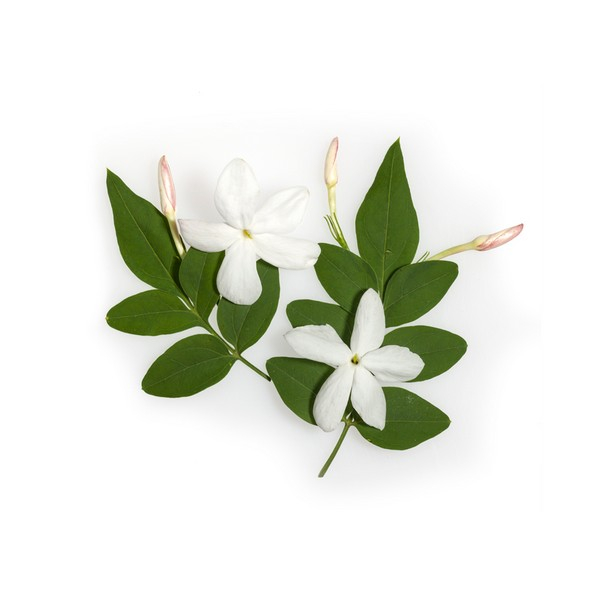 Apivita Gel Doccia Pure Jasmine al Gelsomino 250ml