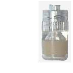 PB Pharma Tappo Sterile Perforabile Luer Lock Trasparente