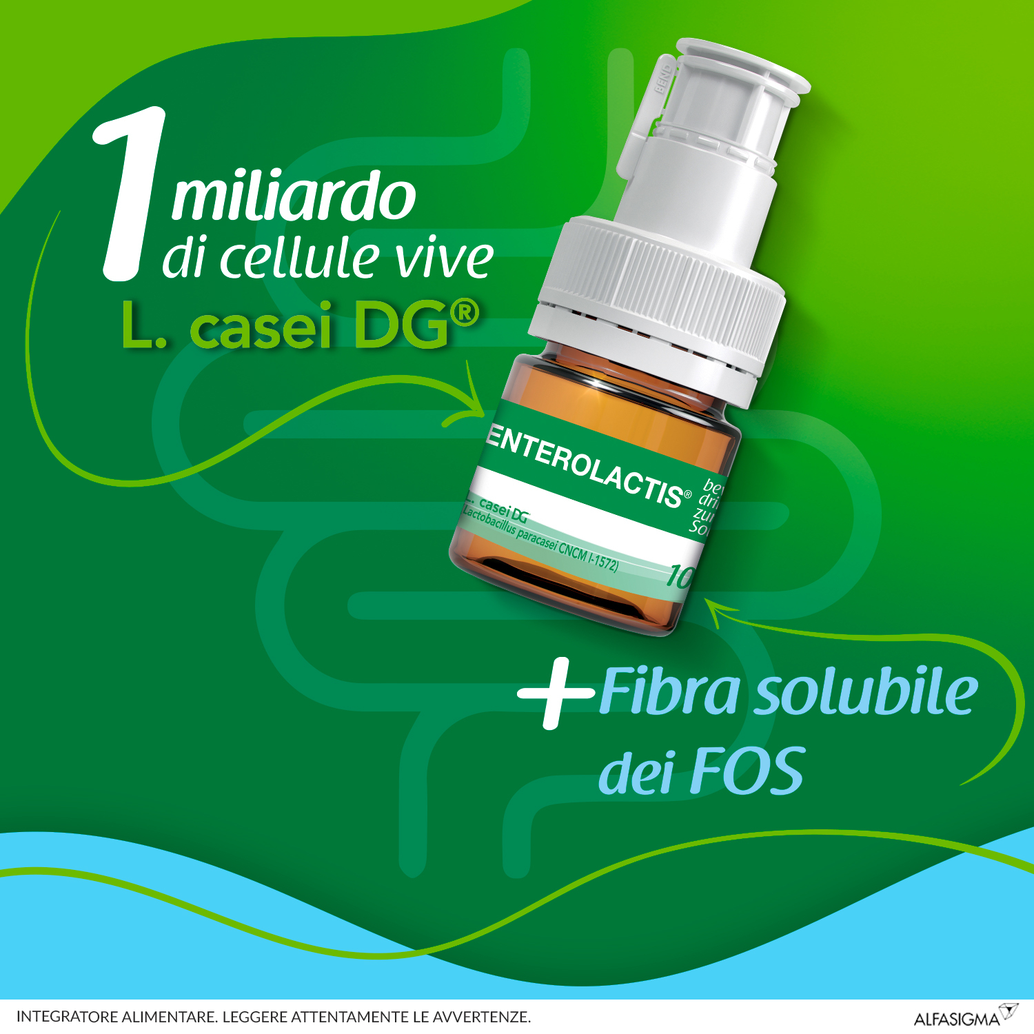 Enterolactis Fibra Liquida, Integratore Alimentare con Fermenti lattici, probiotici, Fibra solubile FOS, Fruttoligosaccaridi, 1 Miliardo Cellule Vive, Senza Glutine e Lattosio, 12 Flaconcini Gusto Limone