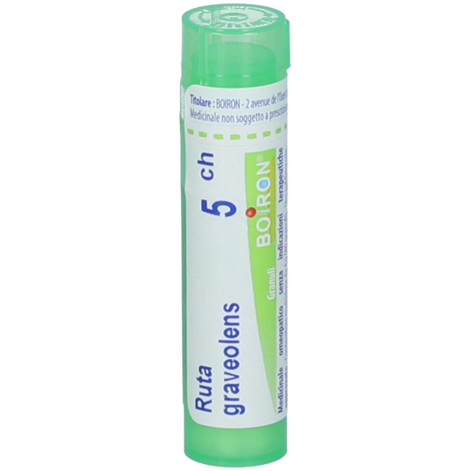 RUTA GRAVEOLENS*5CH 80GR 4G