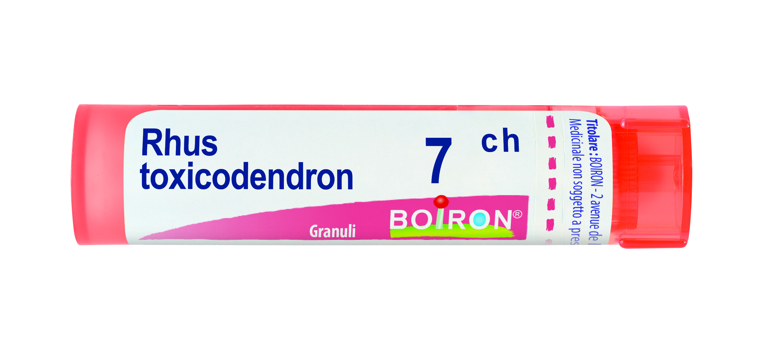 RHUS TOXICODENDRON*7CH 80GR 4G