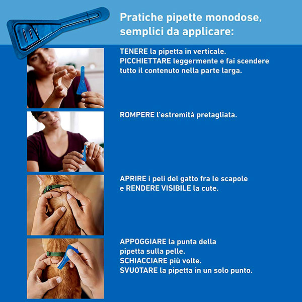 Frontline Spot On Gatti x3 Pipette, Antiparassitario per Gatti e Gattini, Contro  Zecche, Pulci e Pidocchi