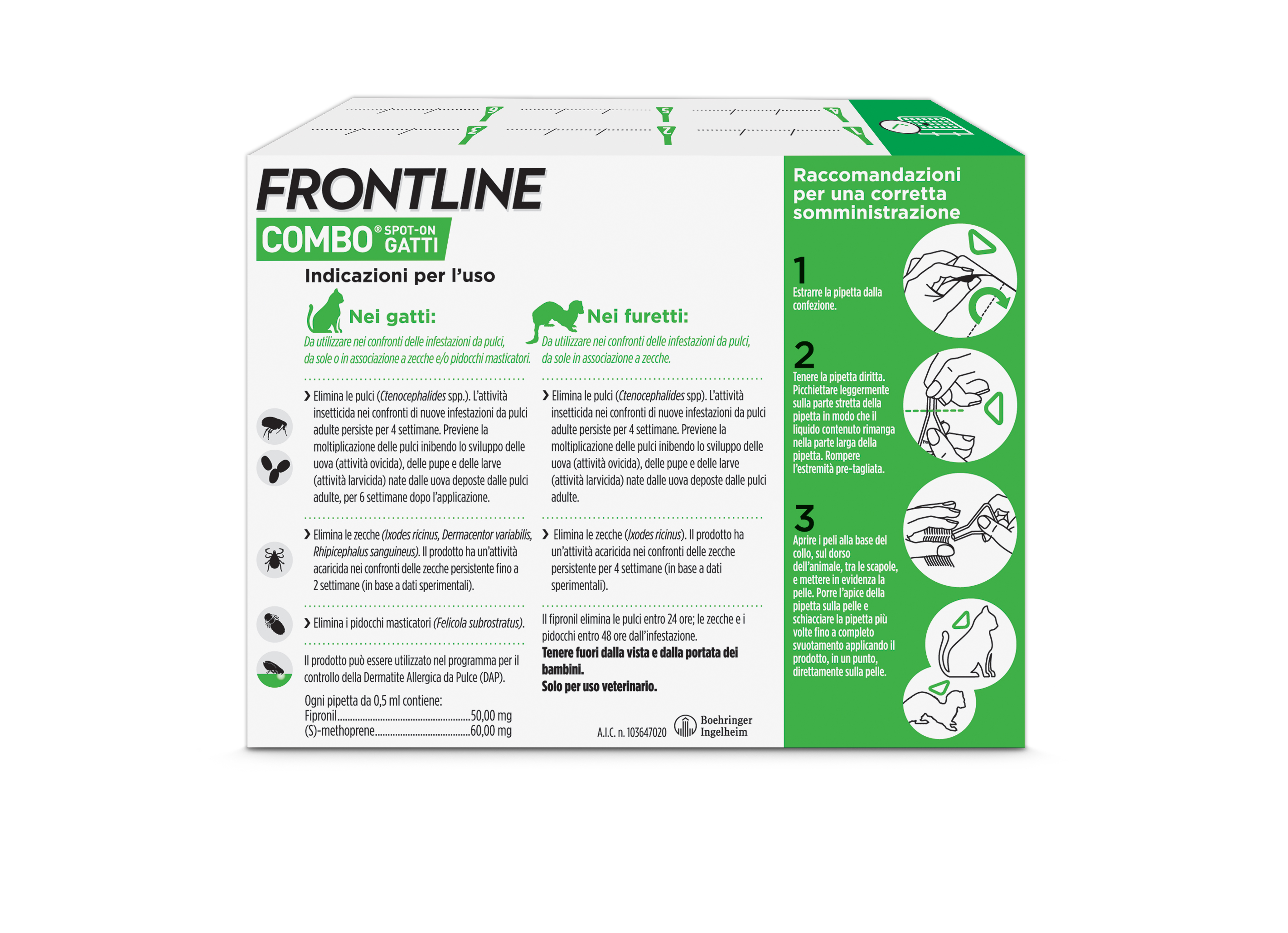 Frontline Combo Gatti x6 Pipette, Antiparassitario per Gatti, Gattini e Furetti, Contro Pulci, Zecche, Uova, Larve e Pidocchi 
