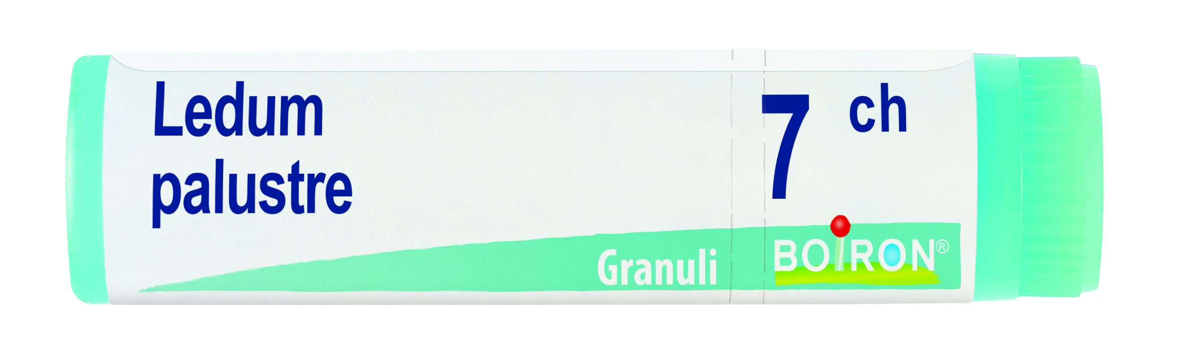 LEDUM PALUSTRE Dose   7CH