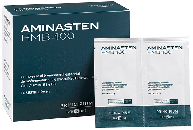PRINCIPIUM Aminasten HMB400