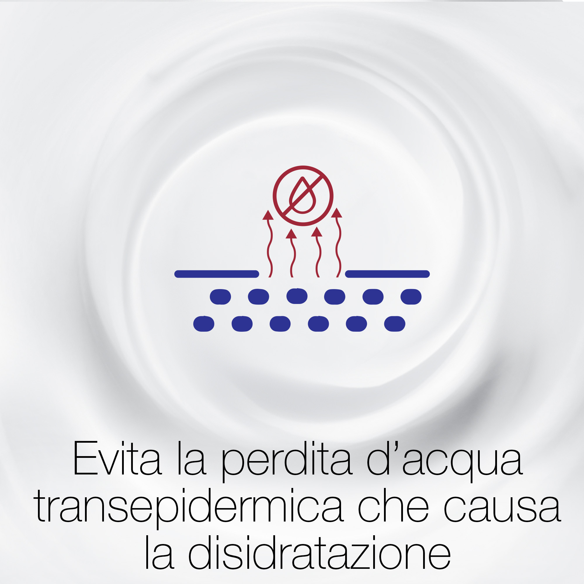 Neutrogena Crema Comfort Idratazione Intensa Viso e Corpo 300 ml confezione PROMO