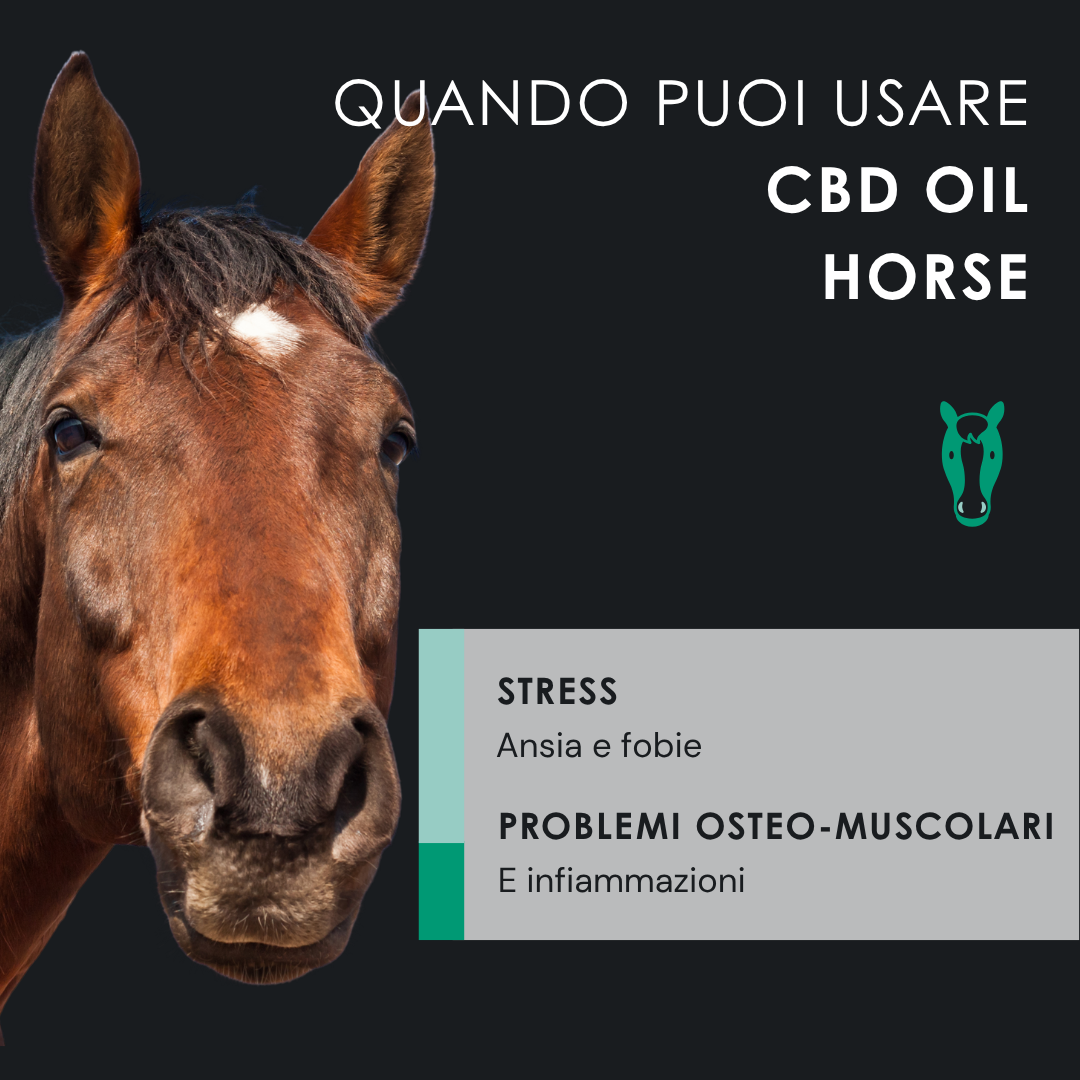 Eusphera CBD Oil Horse - Olio Nutriente per Cavalli 50 ml