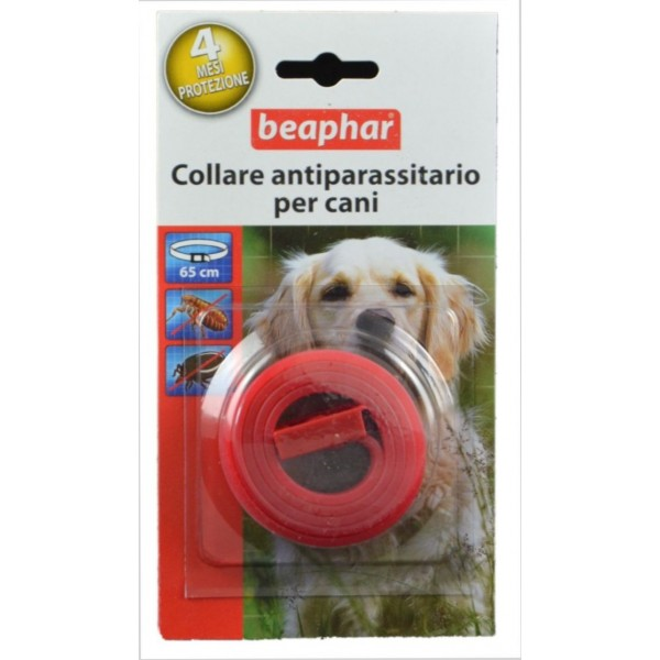 COLLARE ROSSO ANTIP. CANE BEAP