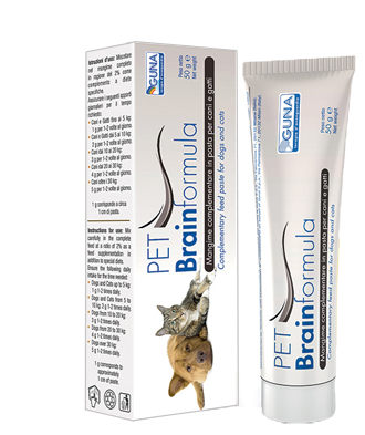 PET BRAINFORMULA 50G