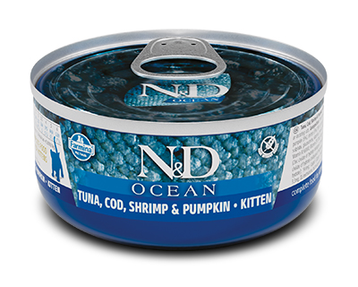 N&D CAT OCEAN COD&SHR&PUMPKIN