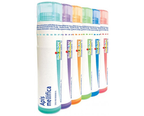 APIS MELLIFICA 4CH GR