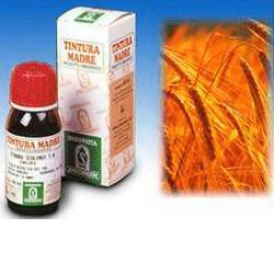 Avena Sativa 3 Tintura Madre 50ml