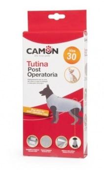 TUTINA POST OPERATORIA TG24