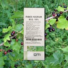 Oti Riber Nigrum Macerato Glicerico Riniti Allergiche 100 ml