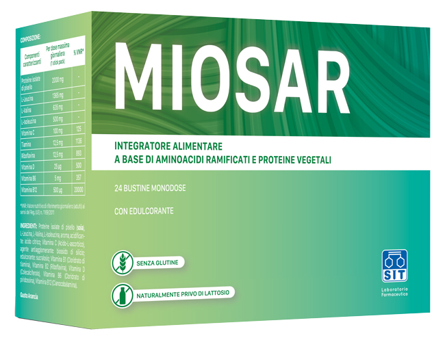 MIOSAR 24 Bust.