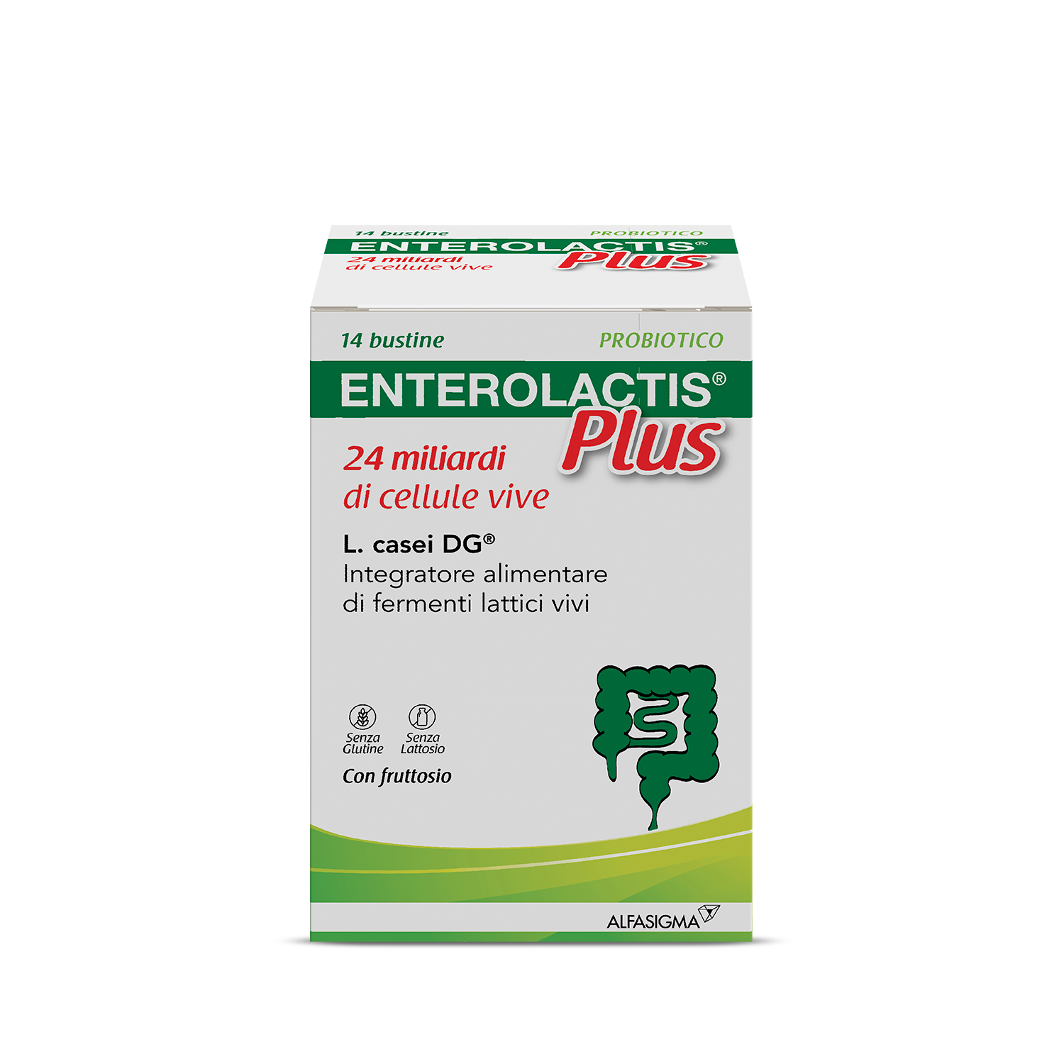 Enterolactis Plus Bustine, Integratore Alimentare con Fermenti lattici, probiotici L,Casei DG, 24 Miliardi Cellule Vive, Con Fruttosio, Senza Glutine e Lattosio, 14 Bustine da Sciogliere in Acqua