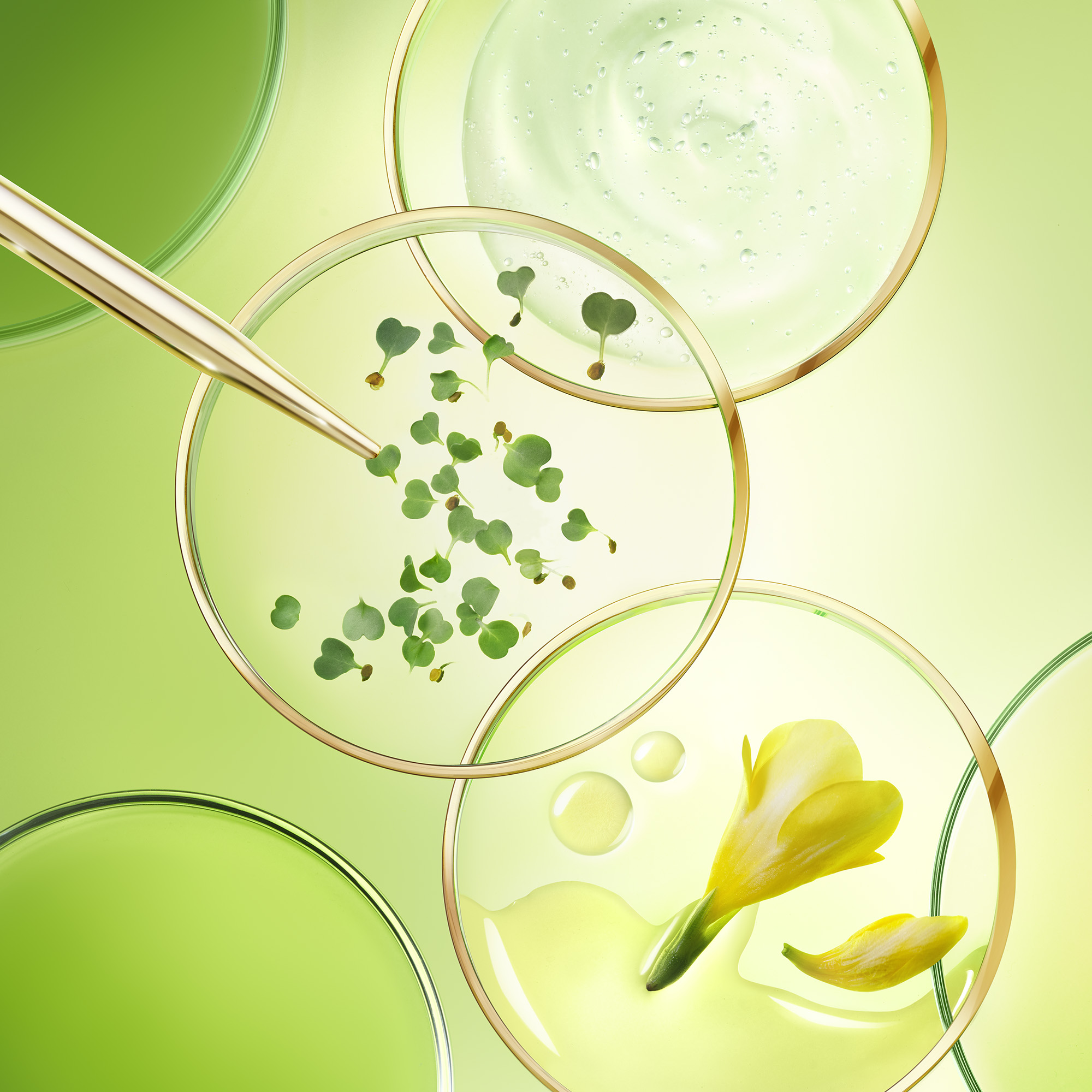 Nuxe - Nuxuriance Ultra - Crema Anti-Età Globale 50 ml