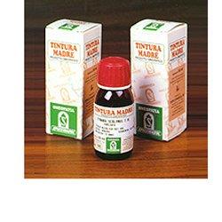 Specchiasol Damiana 29 Tintura Madre 50 ml