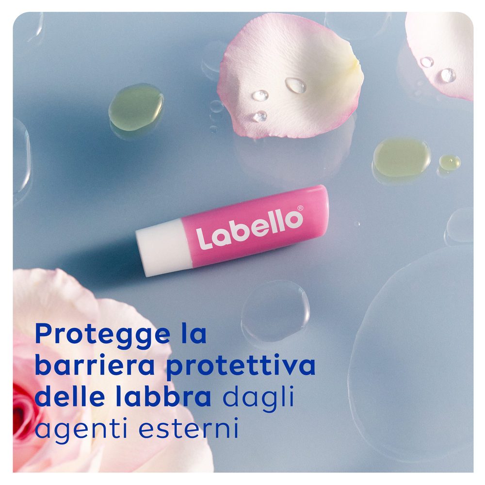 Labello Soft Rosé 4.8 g, Burrocacao labbra colorato e idratante con Estratto di Rosa