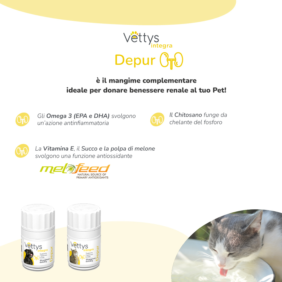 VETTYS Integra Depur Cane