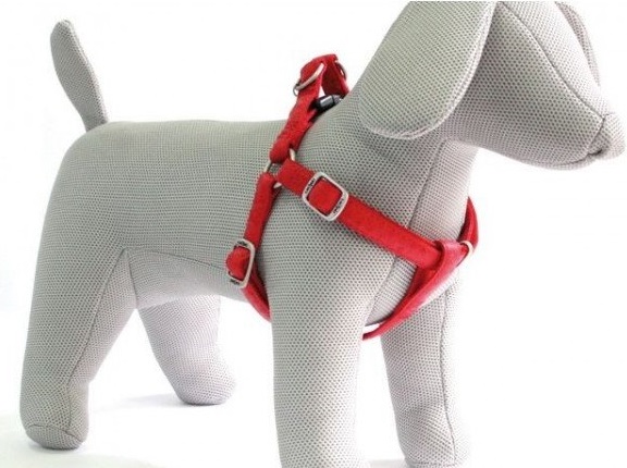 CROCI PETTORINA MYLORD SIMILPELLE REGOLABILE ROSSO 10MMx25/40CM (REF. C5079309)