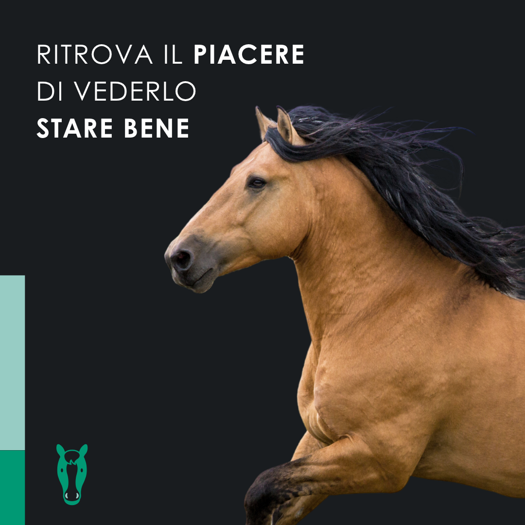 EUSPHERA EU4HORSE 50ML