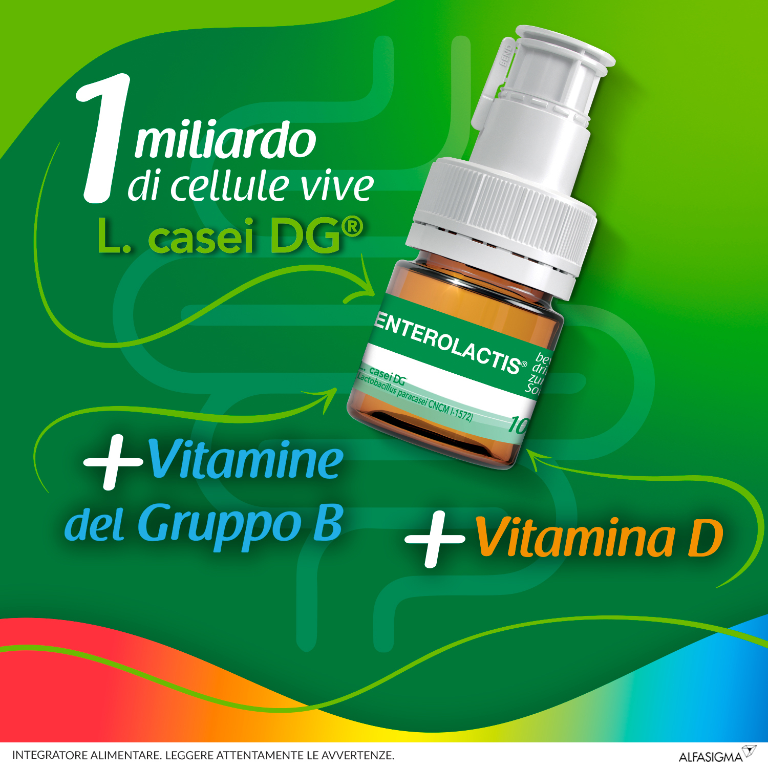 Enterolactis Bambini Bevibile, Integratore Alimentare con Fermenti lattici, probiotici L,Casei DG, 1 Miliardo Cellule Vive, Con Fruttosio, Senza Glutine e Lattosio, 12 Flaconcini da 10ml, Gusto Lampone