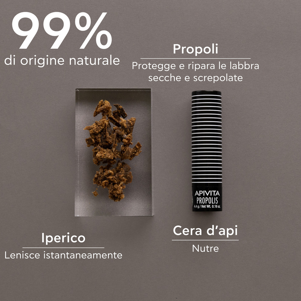 APIVITA LIPCARE PROPOLI/19