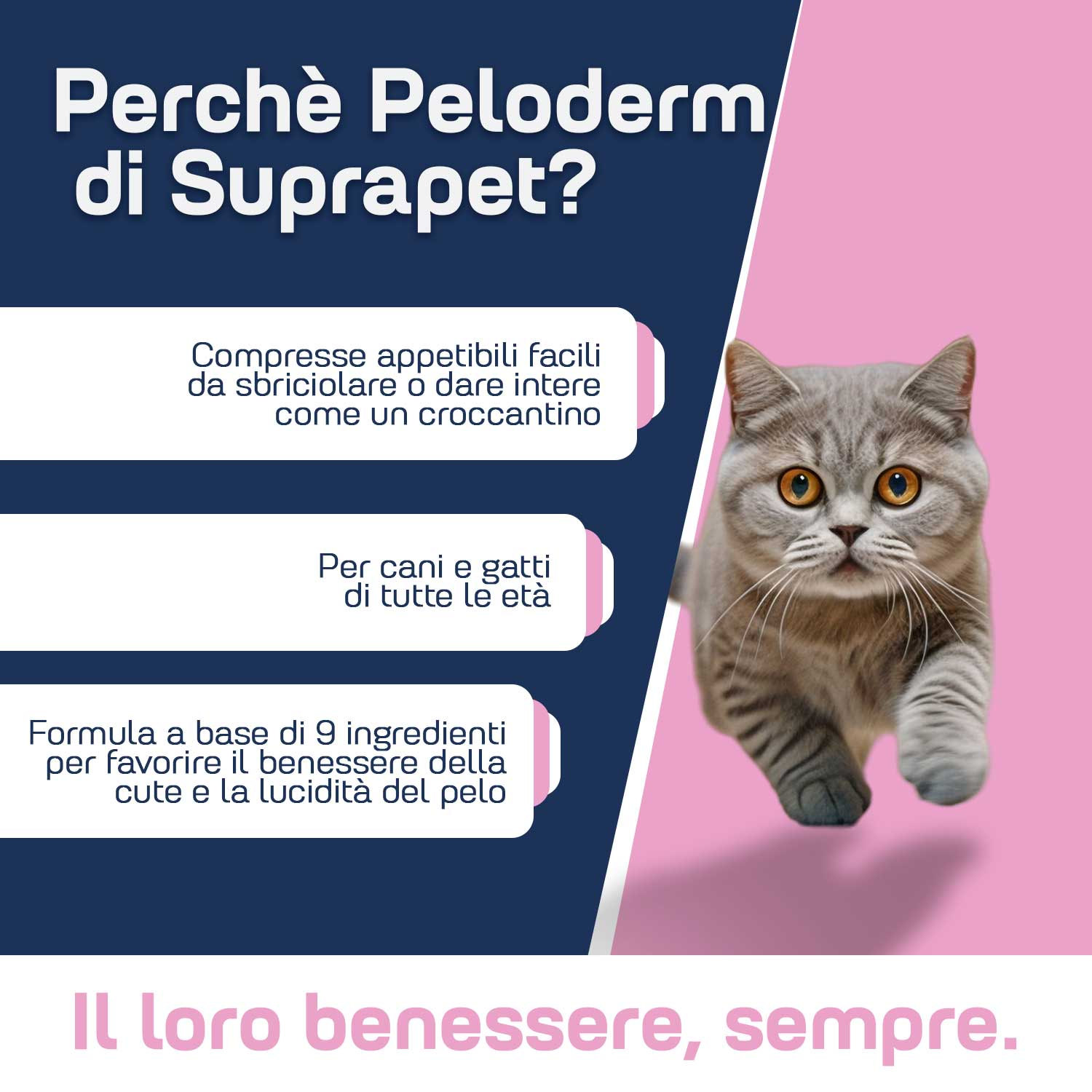Suprapet PeloDerm Rinforza la Cute e il Pelo di Cane e Gatto 90 compresse