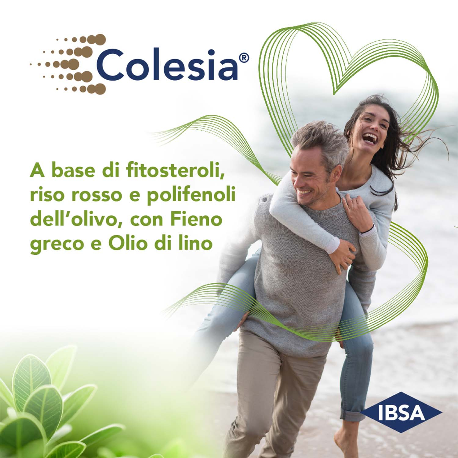 COLESIA SOFT GEL 60CPS MOLLI