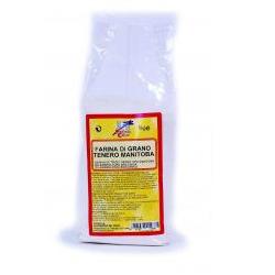 FARINA DI GRANO TENERO MANITOBA BIO 1000 G