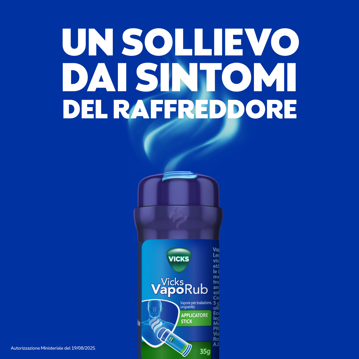 VICKS VapoRub Vapore per Inalazione Unguento 35 g Applicatore Stick