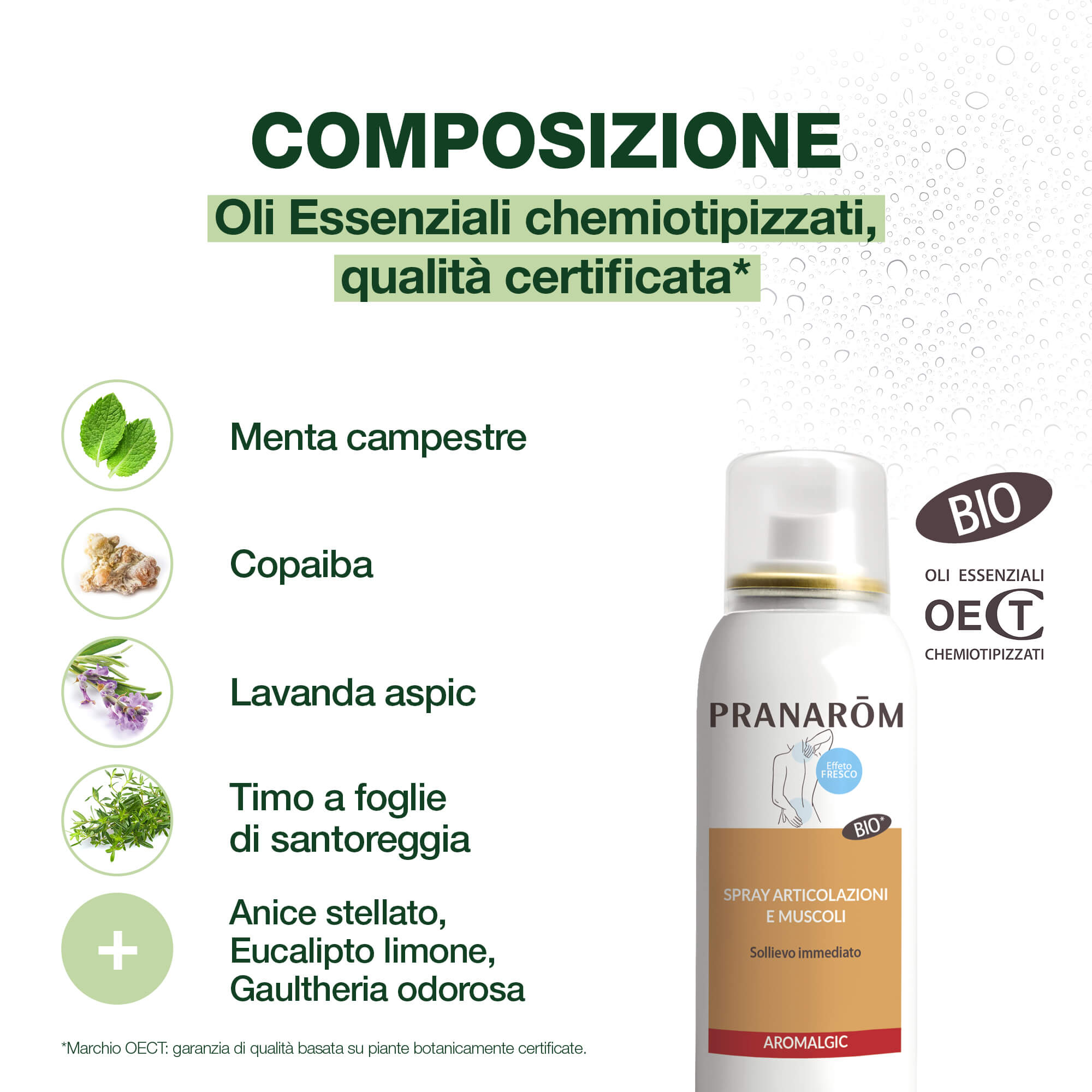 PRANAROM ALGIC Spray Art.100ml