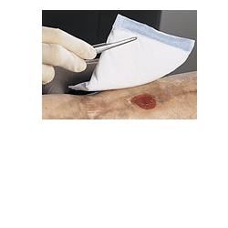 VLIWAZELL STER 10X20CM 30PZ