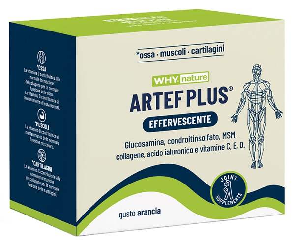 WHYNATURE ARTEF PLUS 24BUST
