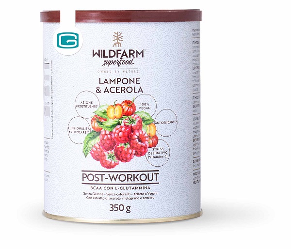 WILDFARM POST WORK LAM&ACE350G