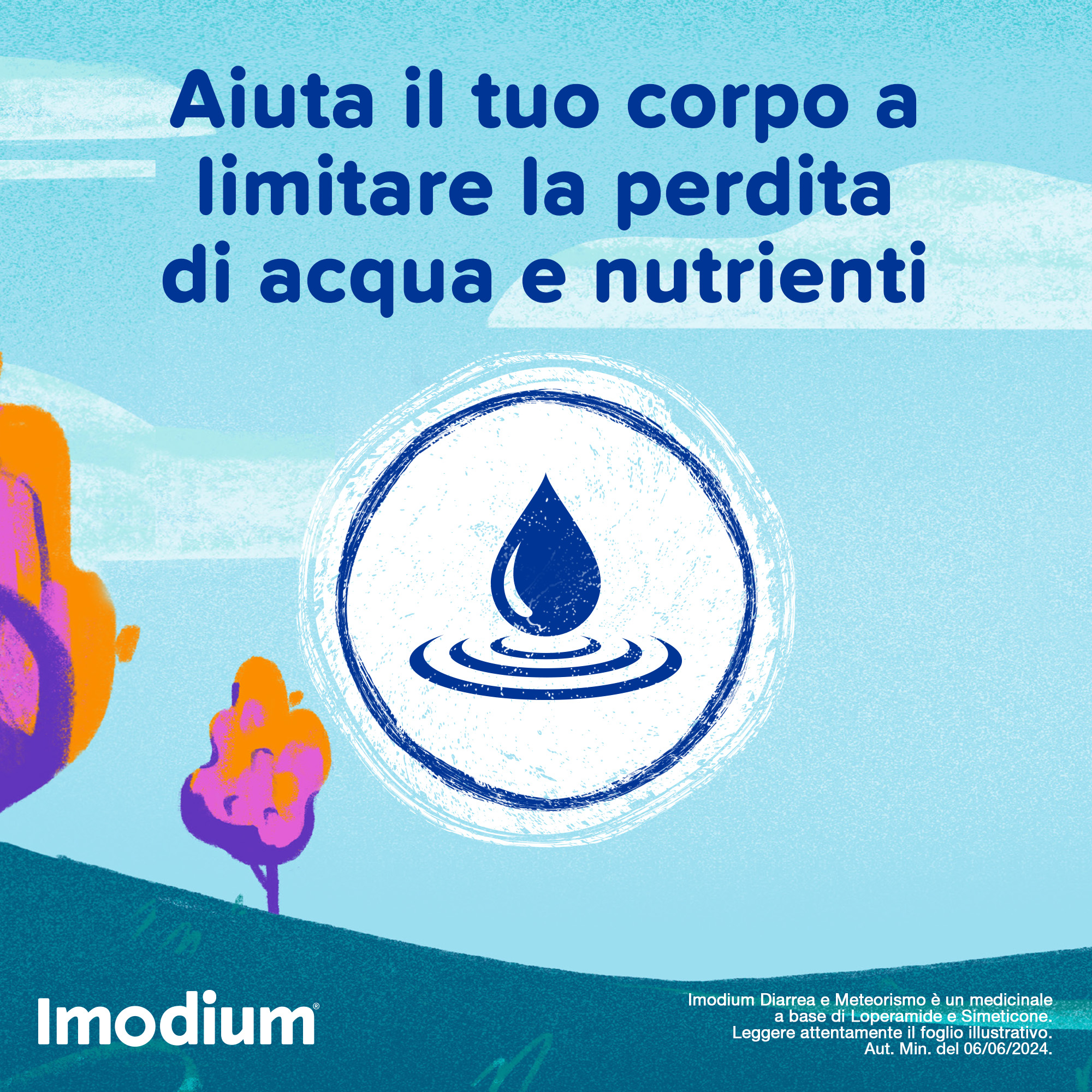 Imodium Diarrea e Meteorismo 12 Compresse - SCADENZA APRILE 2026