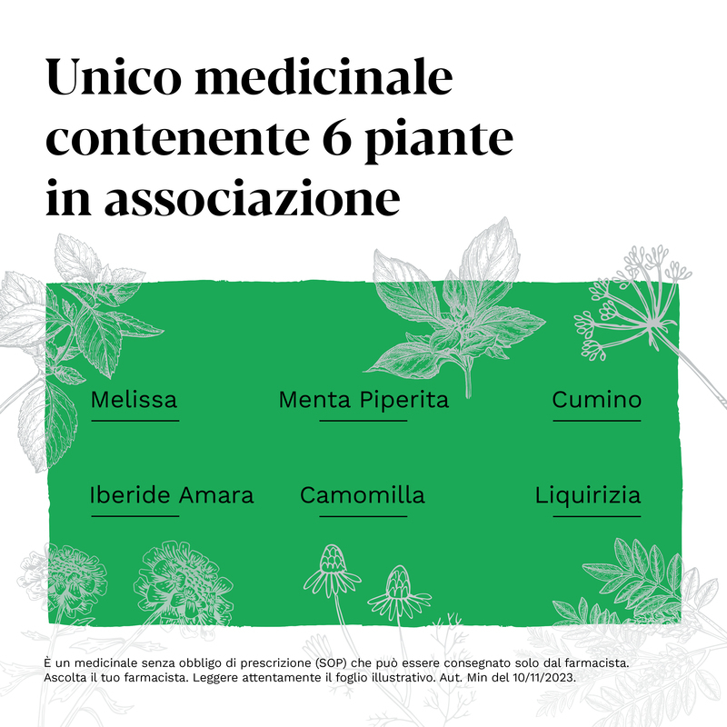 Iberogast Advance Medicinale Fitoterapico Per Il Trattamento Della Dispepsia Funzionale e Disturbi Gastrointestinali come Mal Di Stomaco, Gocce Orali, 100 ml