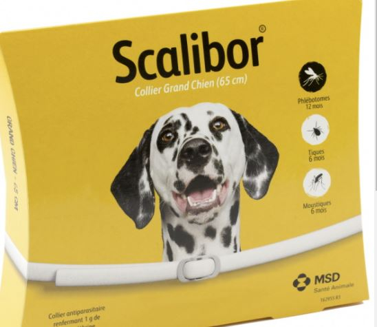 SCALIBOR PROTECTOR BAND 65CM  